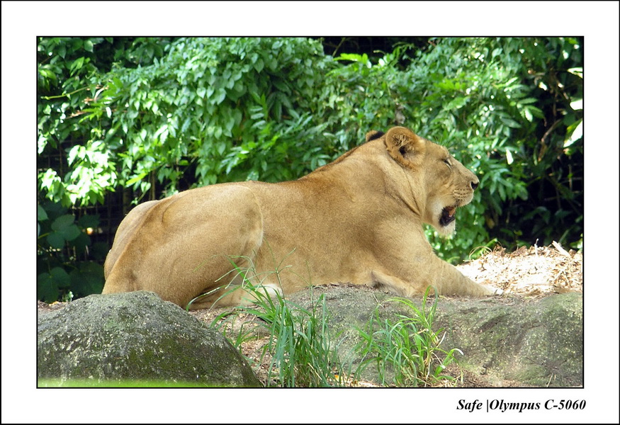 2005 - 06 - Zoo 039.JPG